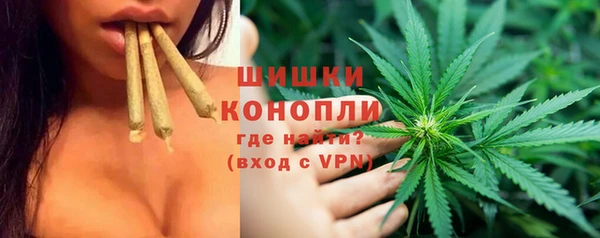 Альфа ПВП Няндома