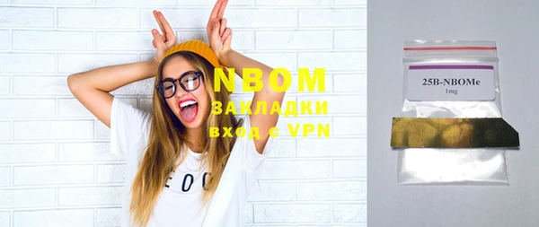 Альфа ПВП Няндома