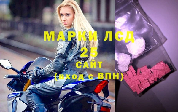 Альфа ПВП Няндома