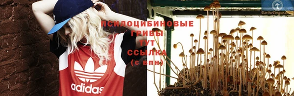 2c-b Остров