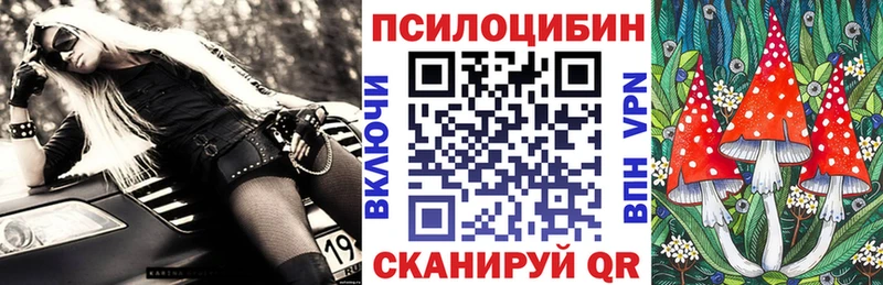 Псилоцибиновые грибы Psilocybine cubensis  Качканар 
