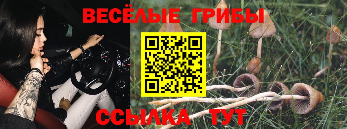 Галлюциногенные грибы мицелий  купить наркоту  Качканар  Вход с VPN 