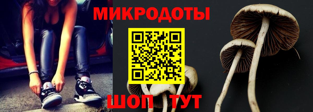 Галлюциногенные грибы прущие грибы Качканар